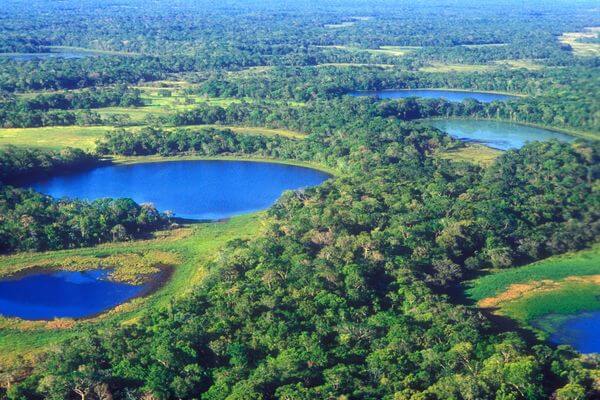 Pantanal-Brasileiro