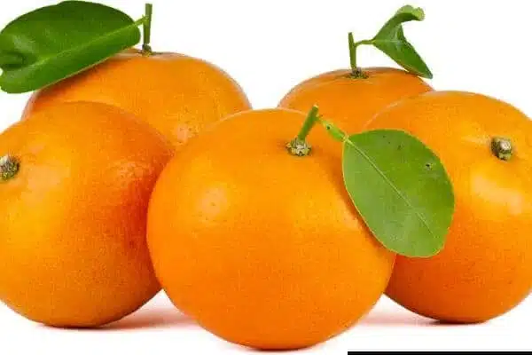 Sucos de Frutas e Sustentabilidade